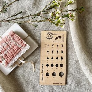 Special Delivery Knitting Needle Gauge