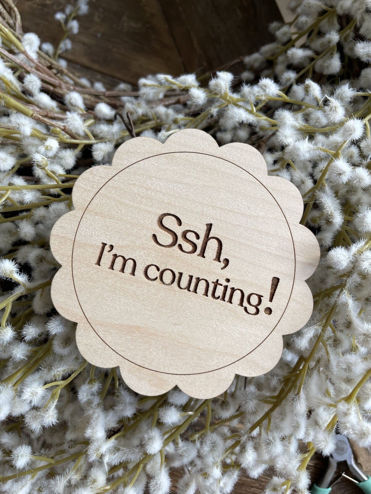 Ssh, I'm Counting Coaster